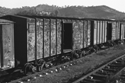 185023