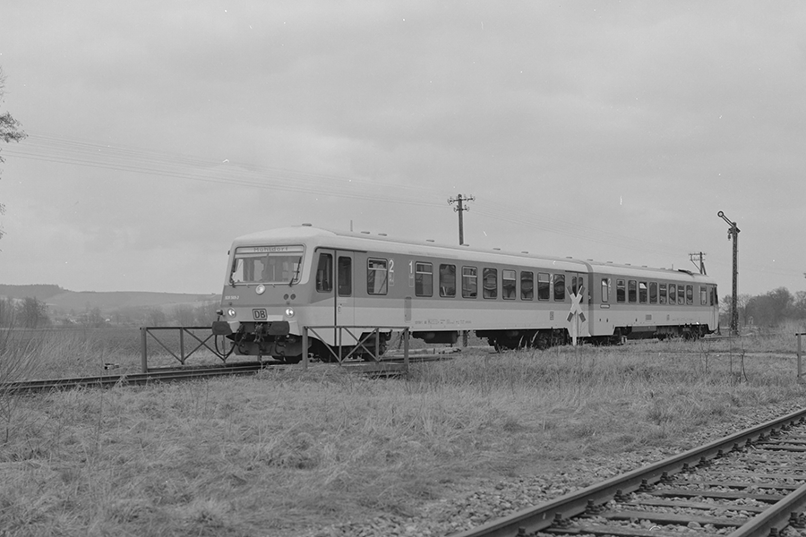 403811