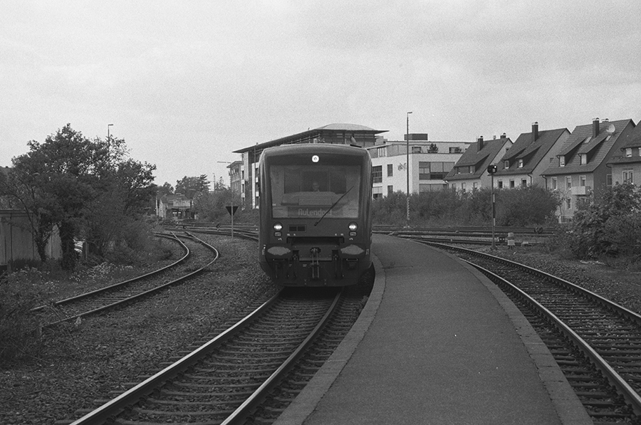263226