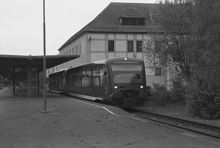 263303