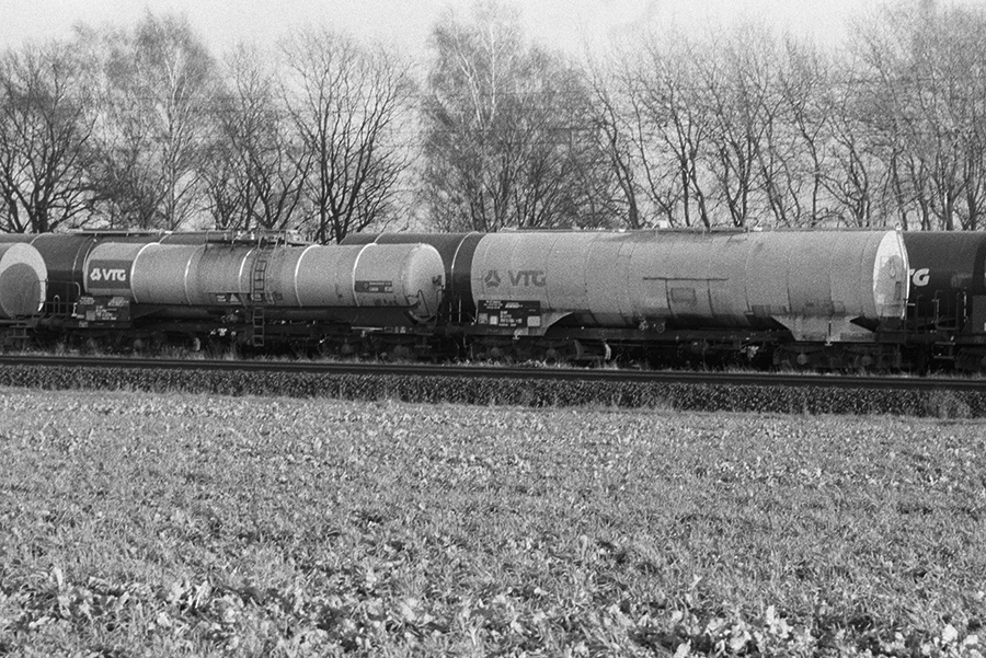 264503
