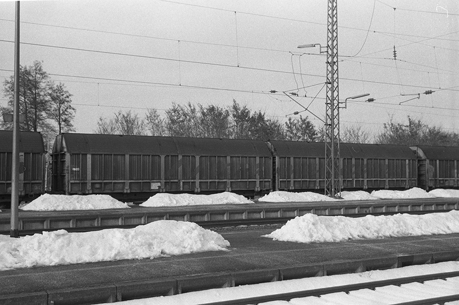 264632