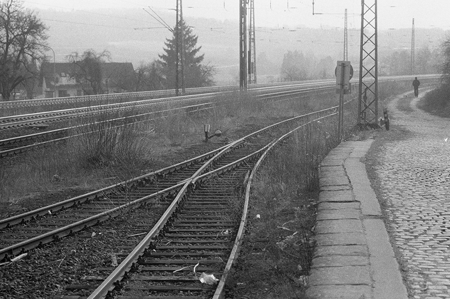 264709
