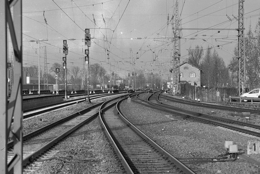 269501