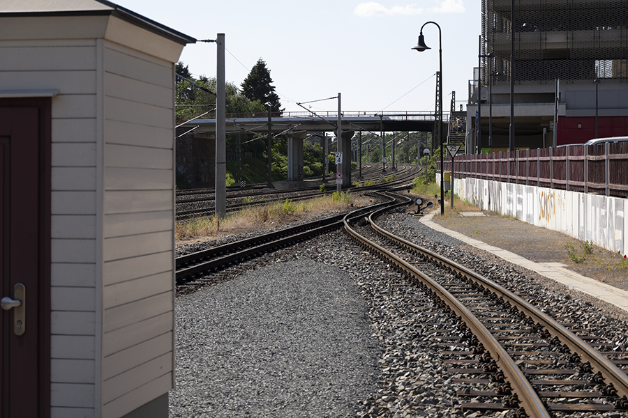 C1000393
