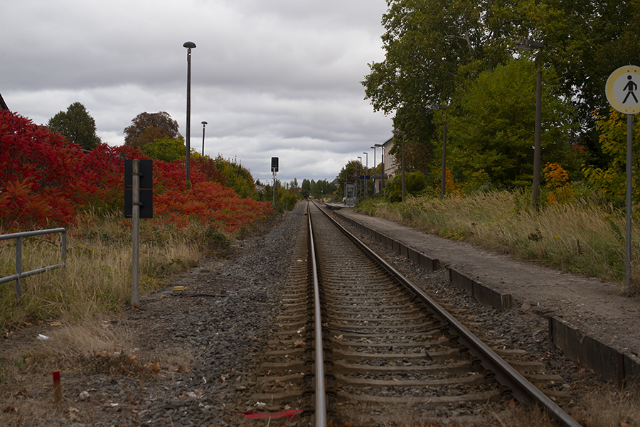 L3005693